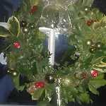 Marialin Wijdewormer