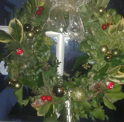 Marialin Wijdewormer